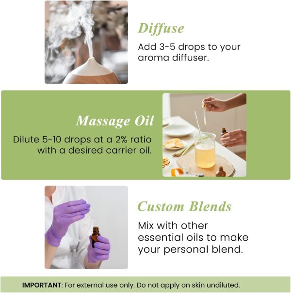 Peppermint Essential Oil – Huge 4 Fl Oz - Image 2