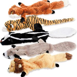 Dog Squeak Toys