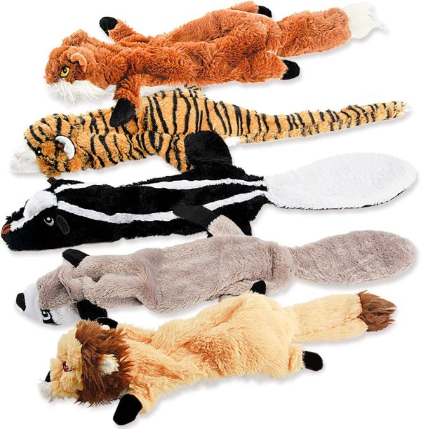 Dog Squeak Toys